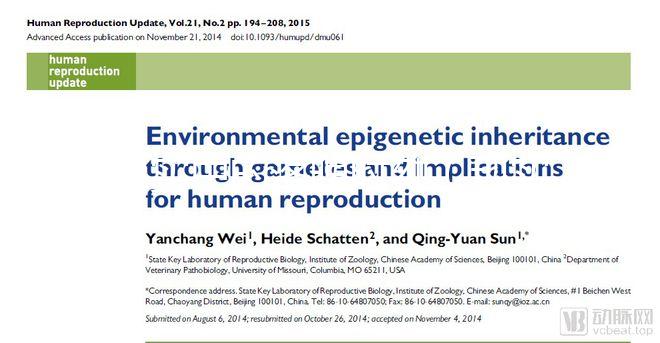 現(xiàn)實中的落魄時刻（現(xiàn)實中的落魄時刻是什么）