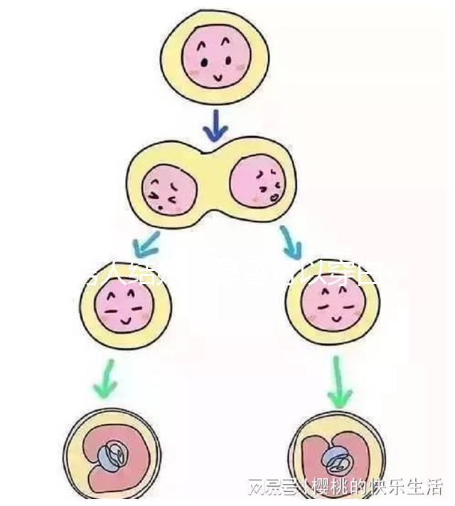 男人結(jié)婚時是否可以穿白色鞋子和白色西裝進(jìn)行分析，看看對誰不利