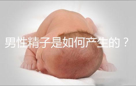男性精子是如何產生的?