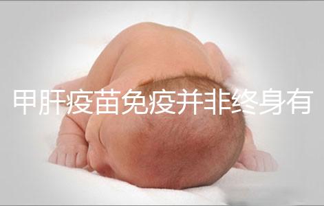 甲肝疫苗免疫并非終身有效，滅活類型抗體持續(xù)時(shí)間更久