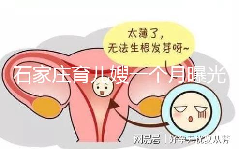 石家莊育兒嫂一個月曝光多少錢?馬寶:公司級別越高越貴