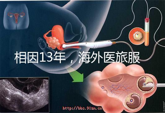 相因13年,海外醫(yī)旅服務(wù)標(biāo)準(zhǔn)制定者