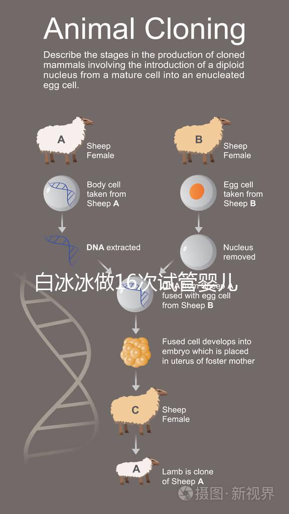 白冰冰做16次試管嬰兒欲挽回亡女48歲宣布無卵失敗