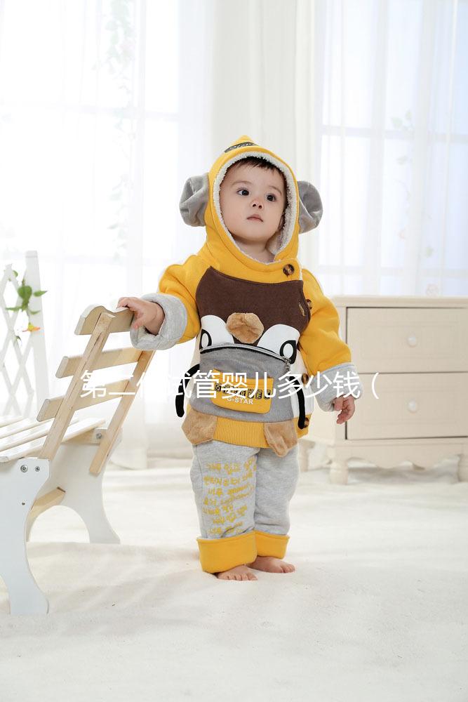 第二代試管嬰兒多少錢（第二代試管嬰兒多少錢明細表）