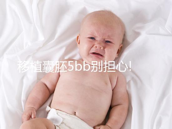 移植囊胚5bb別擔心!希望并非來自成功率,質量奠定基礎