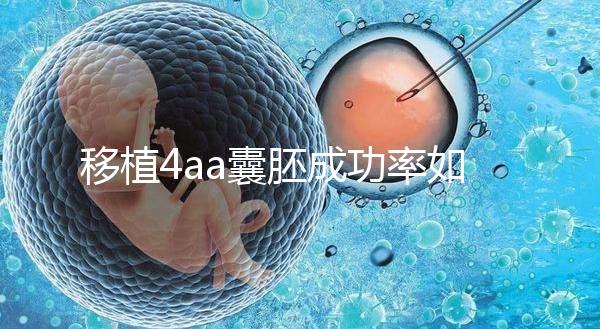 移植4aa囊胚成功率如何？細說質量等級讓你助孕更安心