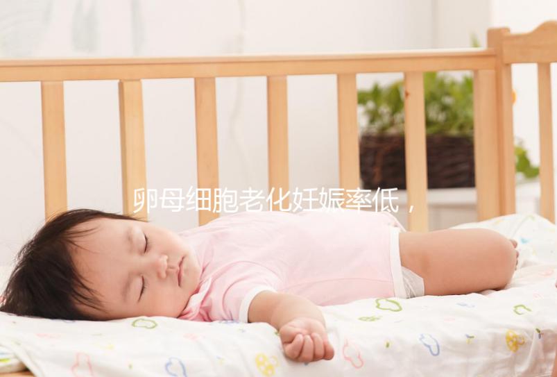 卵母細(xì)胞老化妊娠率低，太晚生嬰兒試管也救不了