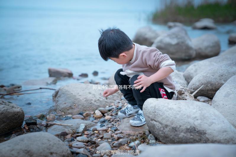 卵巢4個周期各有不同卵泡監測發育情況要找準時間