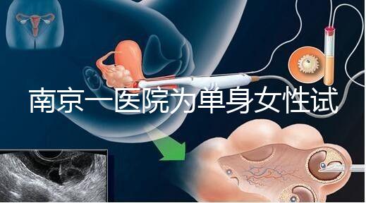 南京一醫(yī)院為單身女性試管助孕引爭議背后：當(dāng)把生育需求納入法規(guī)框架