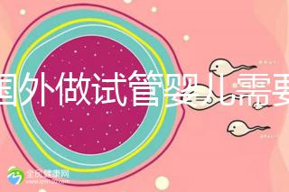 去國外做試管嬰兒需要多少錢？費用全解析2025