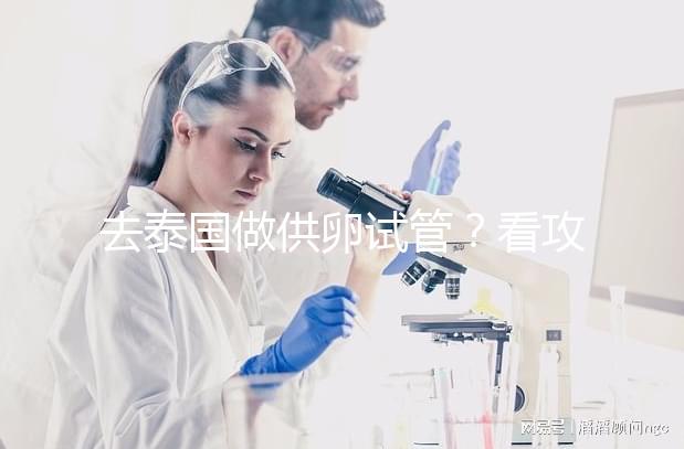 去泰國做供卵試管?看攻略提前了解具體流程和費(fèi)用