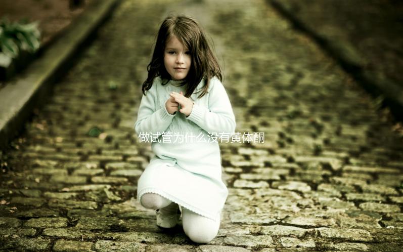 做試管為什么沒有黃體酮？2025年生殖科醫生權威解讀：從個體差異、醫療方案到科學應對的全流程指南