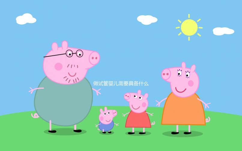 做試管嬰兒需要具備什么條件?