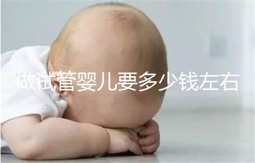 做試管嬰兒要多少錢左右？