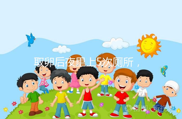 取卵后夜里上5次廁所，這種尿頻的現(xiàn)象正常嗎？