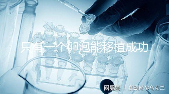 只有一個卵泡能移植成功嗎？別擔心!過來人告訴你好孕并不難