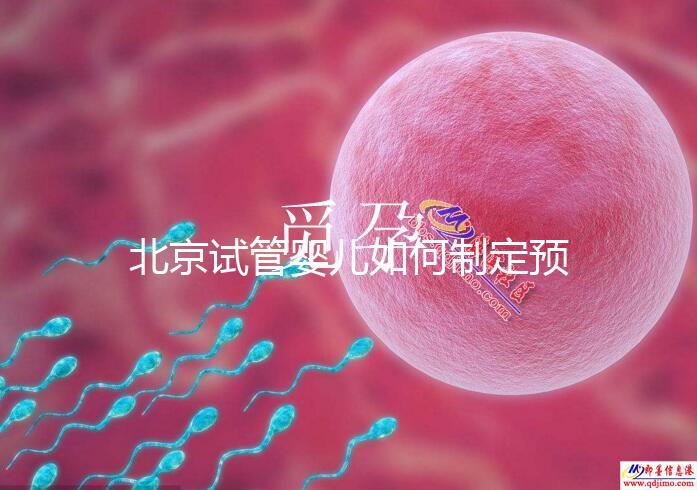 北京試管嬰兒如何制定預(yù)算，費(fèi)用解析必看