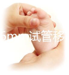 內膜16mm試管移植能否著床速覽，可否移植看身體情況