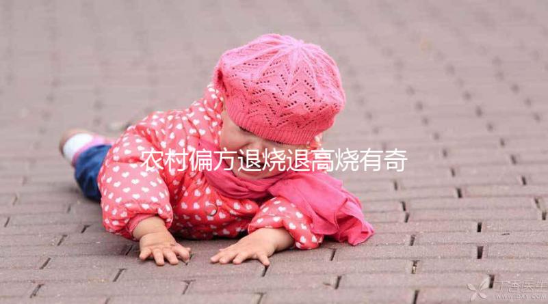 農村偏方退燒退高燒有奇效,路邊常見退燒草別還不認識