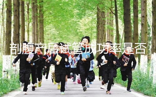 剖腹產后試管成功率是否很低？適當的調理影響真的很小