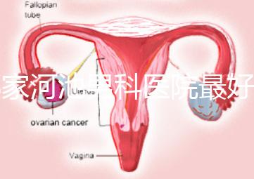 哪家河池男科醫(yī)院最好快速收藏，金城江區(qū)最有名的就在這里