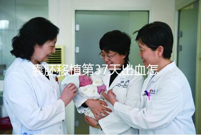 囊胚移植第37天出血怎么保胎?做到這3點就不用擔心流產