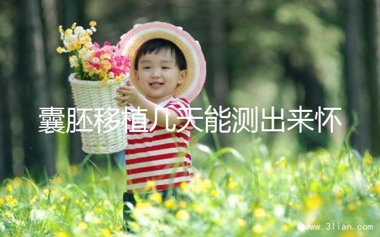 囊胚移植幾天能測出來懷孕？