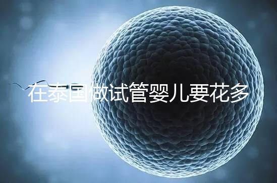 在泰國做試管嬰兒要花多少錢?一位助孕顧問的深夜坦白