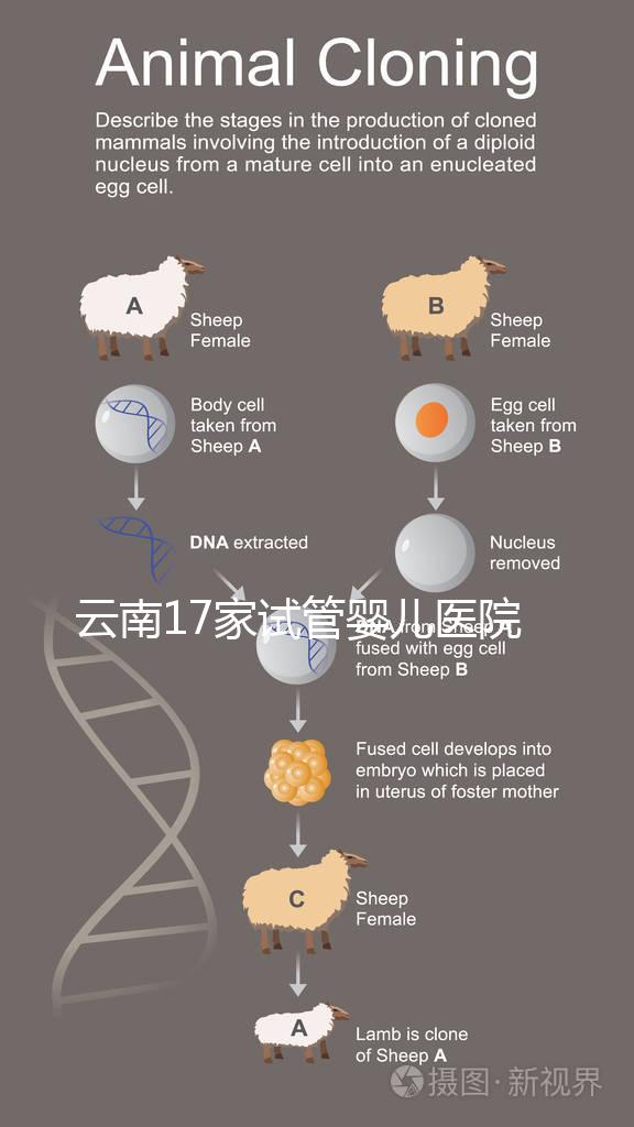 云南17家試管嬰兒醫(yī)院排名公開，2023前十優(yōu)選指南