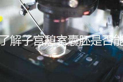 了解子宮憩室囊胚是否能成功移植，這里是否有出血