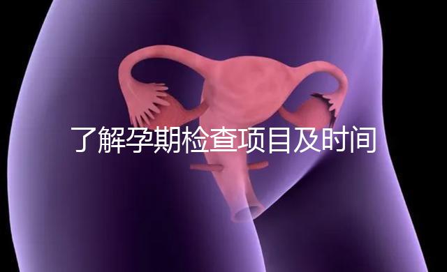 了解孕期檢查項目及時間表2024年10個月的產前檢查順序