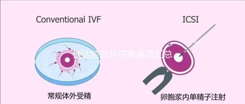 他達(dá)拉非片注意事項匯總:哪些藥物不能同服這都有