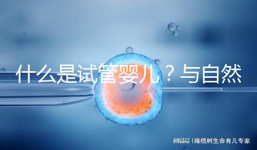 什么是試管嬰兒?與自然懷孕的小孩有區(qū)別嗎?一文告訴你!