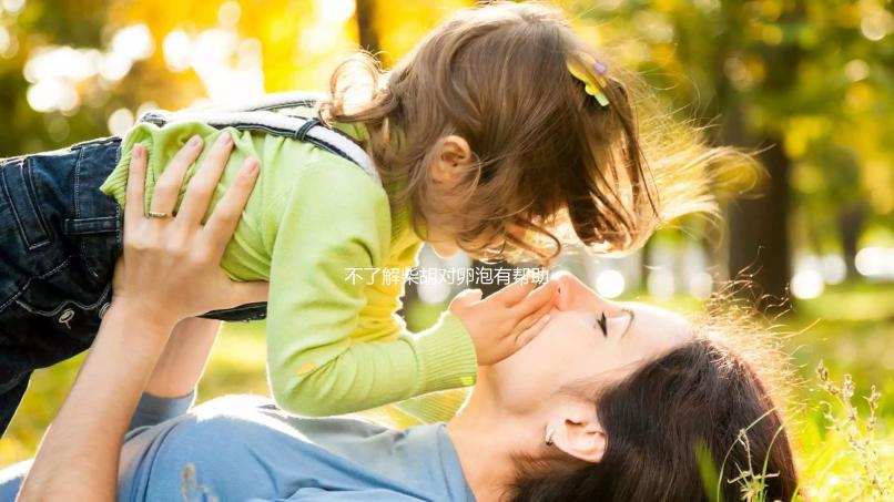 不了解柴胡對(duì)卵泡有幫助,不進(jìn)來(lái)看,加珍珠母泡水效果更好