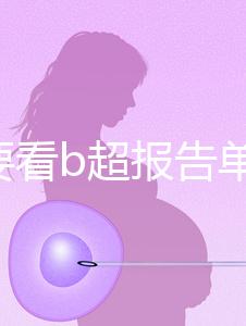 不止要看b超報告單！上海集愛試管全部檢查項目匯總