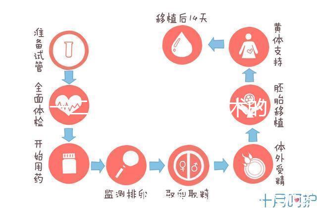 一二三代試管嬰兒技術的比較
