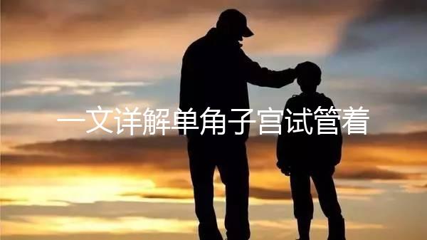 一文詳解單角子宮試管著床困不困難，失敗或和這幾點有關