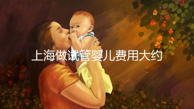 上海做試管嬰兒費(fèi)用大約多少錢?三代試管嬰兒成功率是多少?