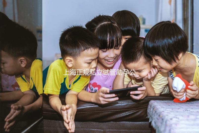 上海正規私立試管助孕公司名單分享,這幾家看放心選擇