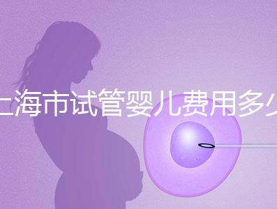 上海市試管嬰兒費用多少錢？2025年最新價格明細及影響因素