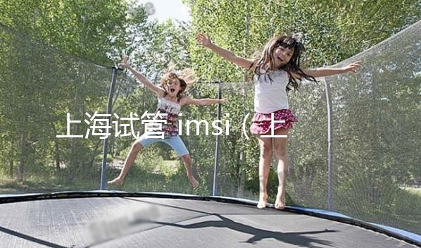 上海試管 imsi（上海試管醫保可以報銷多少）