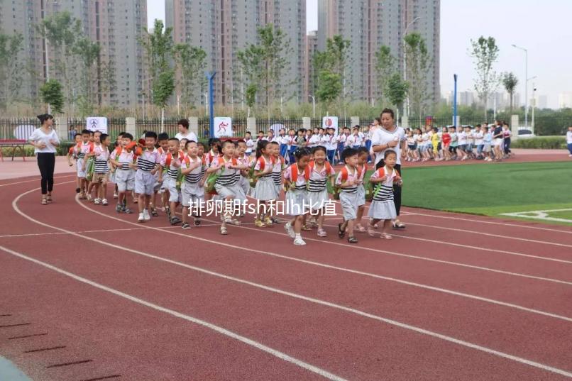 排卵期fsh和lh比值對照參考表速覽，大于2小于3真不正常