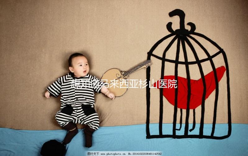 想知道馬來西亞杉山醫(yī)院試管嬰兒治療費(fèi)用清單嗎?看這里