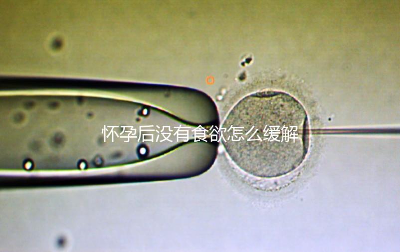 懷孕后沒有食欲怎么緩解？