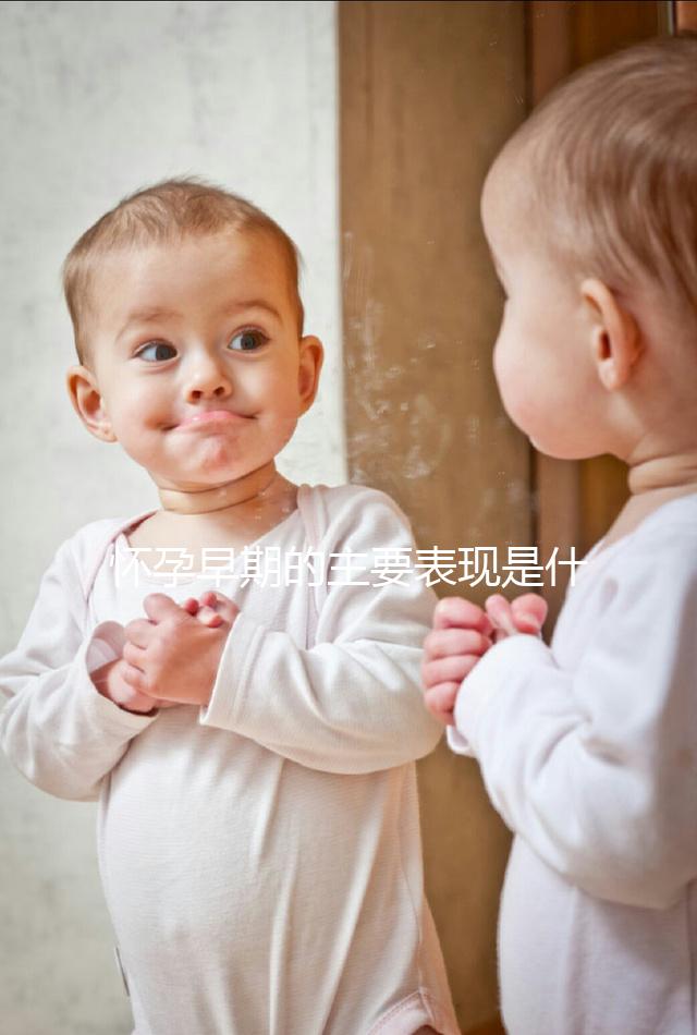 懷孕早期的主要表現是什么？