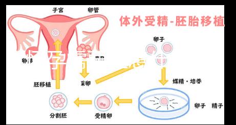 懷孕需要注意什么？