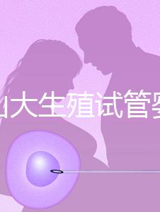 提升山大生殖試管嬰兒成功率，“老司機”送你這4招！