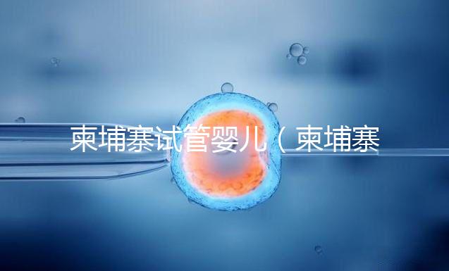 柬埔寨試管嬰兒(柬埔寨試管嬰兒最好的醫(yī)院)