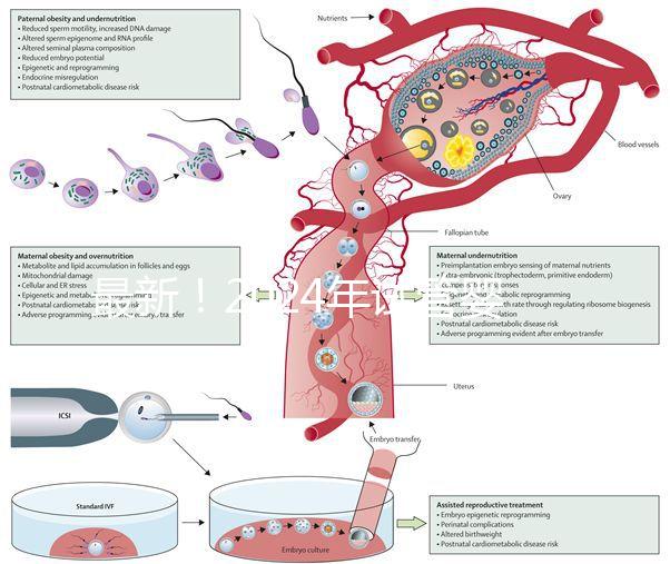 最新!2024年試管嬰兒醫(yī)院排行榜來了!(附名單)