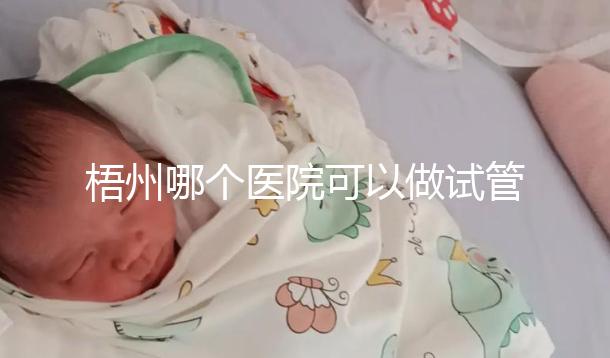 梧州哪個醫院可以做試管嬰兒？“過來人”分享試管費用明細